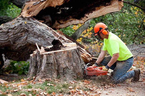 Landscape Design and Installation in Boyceville, WI